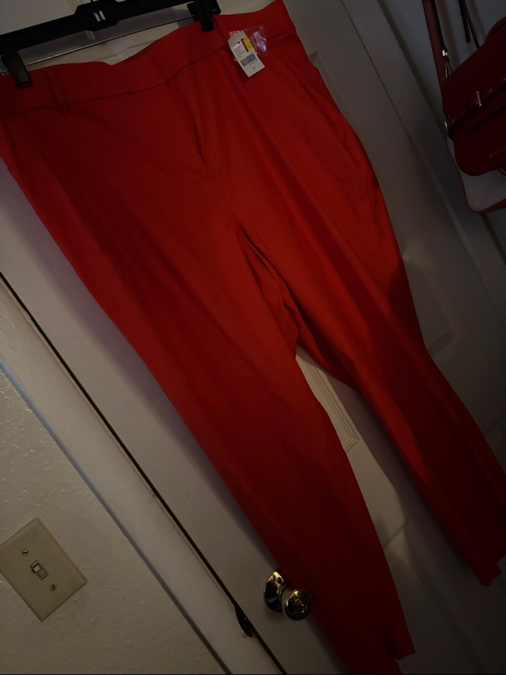 Bright Orange Women's Dress Pants